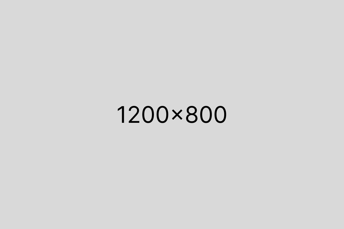 gallery-img8